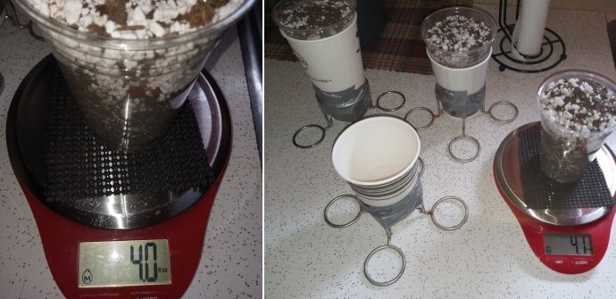 filling cups and weighing.jpg