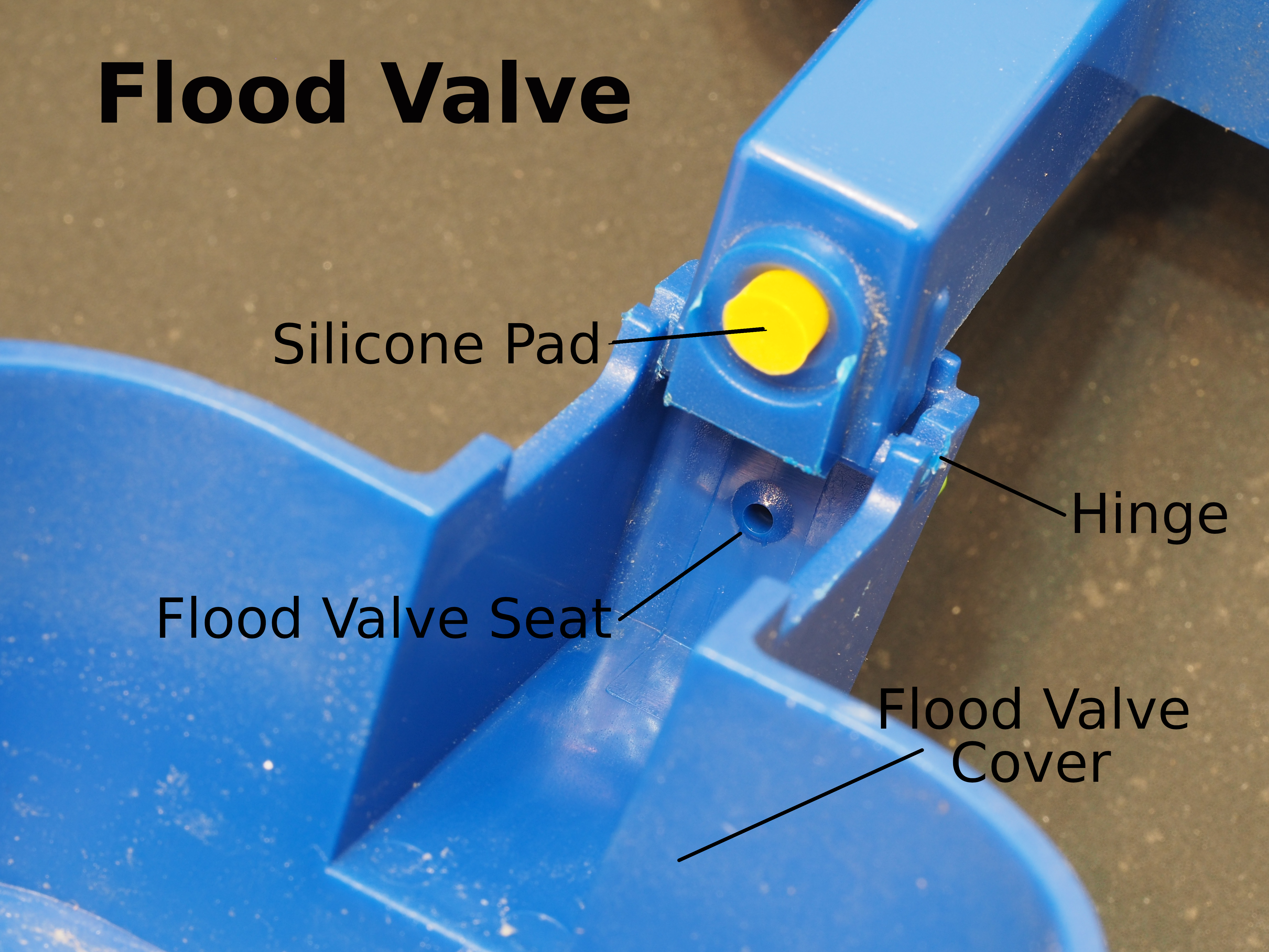 Floodvalve.JPG