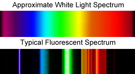 Florescent spectrum.png