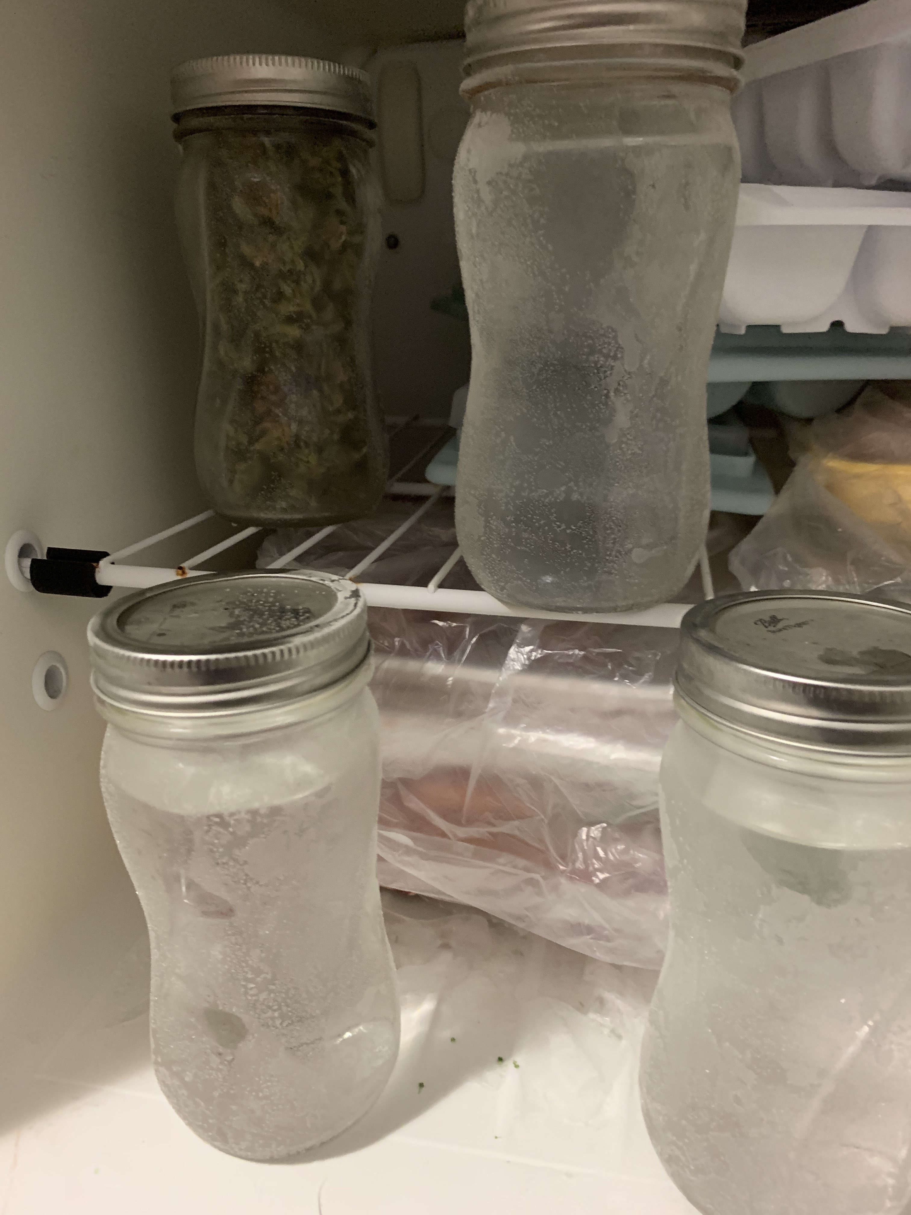 frozen alcohol and bud.jpg