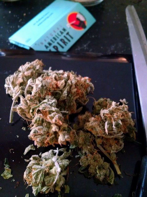 Fruit bud pic2.jpg