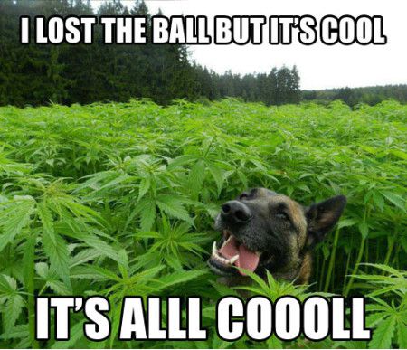 Funniest_Memes_i-lost-the-ball-but-it-s-cool_16680.jpeg