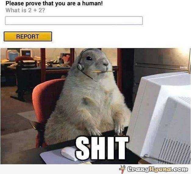 funny-beaver-human-control-site.jpg