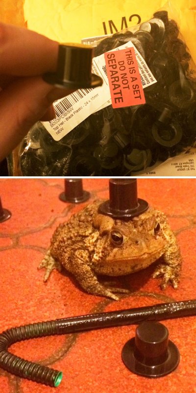 funny-drunk-online-shopping-fails-9-58ef423e779a8__605.jpg