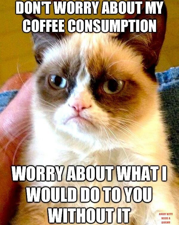 Funny-Good-Morning-Coffee-Meme-picture-quotes-7.jpg