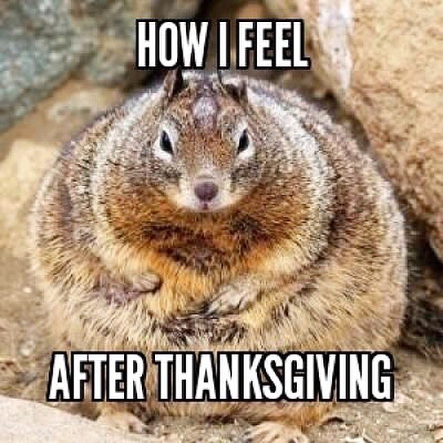 Funny-How-I-Feel-After-Thanksgiving-Meme-Image.jpg