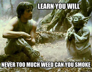 funny marijuana pics, posters, etc.jpg