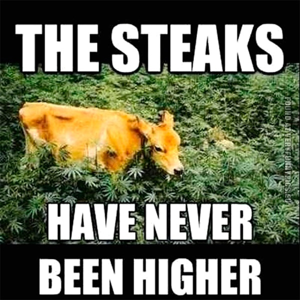 funny-picture-the-steaks-have-never-been-higher.jpg