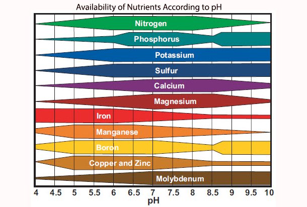 gardensoil04.jpg