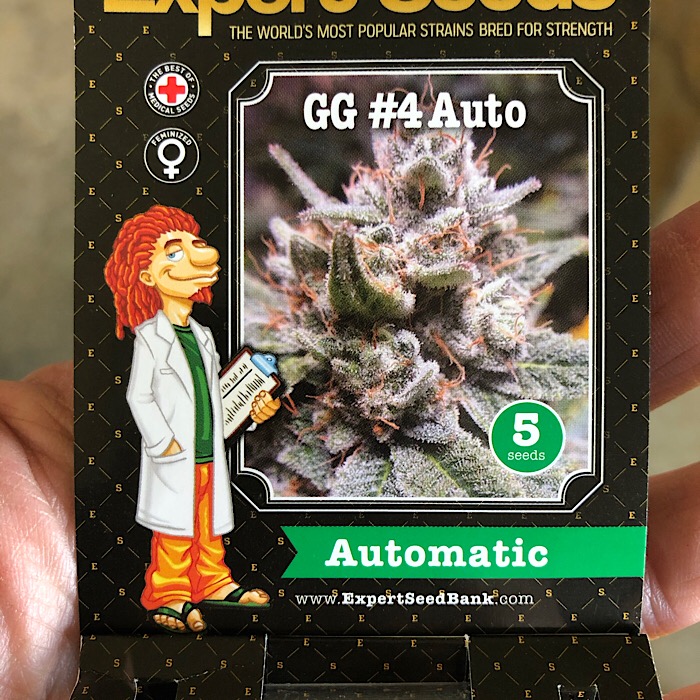 GG #4 Auto Expert Seeds packaging.JPG