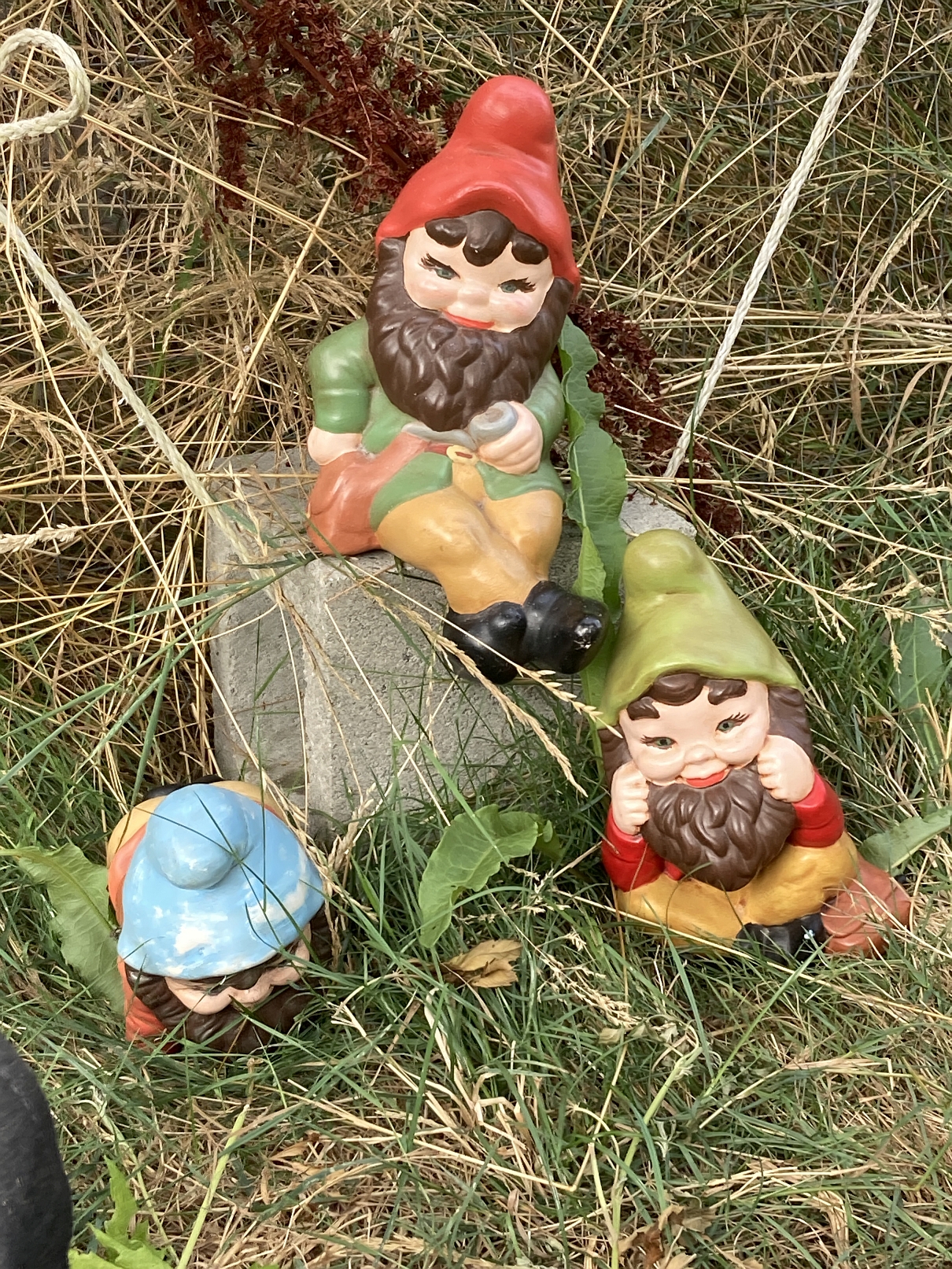 gnomes.jpg