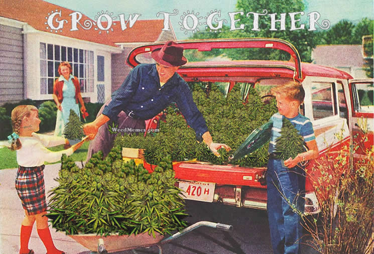 grow-marijuana-together-weed-memes.jpg