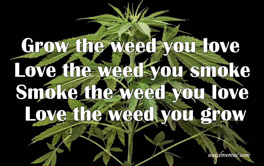 grow-weed-smoke-love-weedmemes.jpg