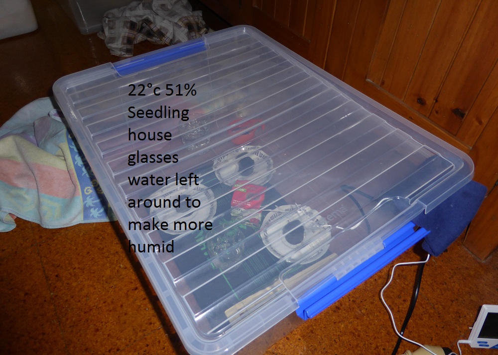 growhouseseedlings.jpg