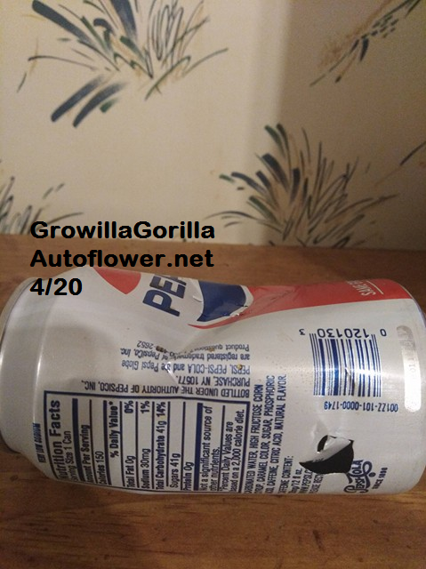 Growilla.png