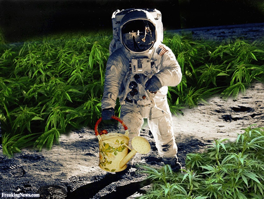 Growing-Marijuana-on-the-Moon-40644.jpg