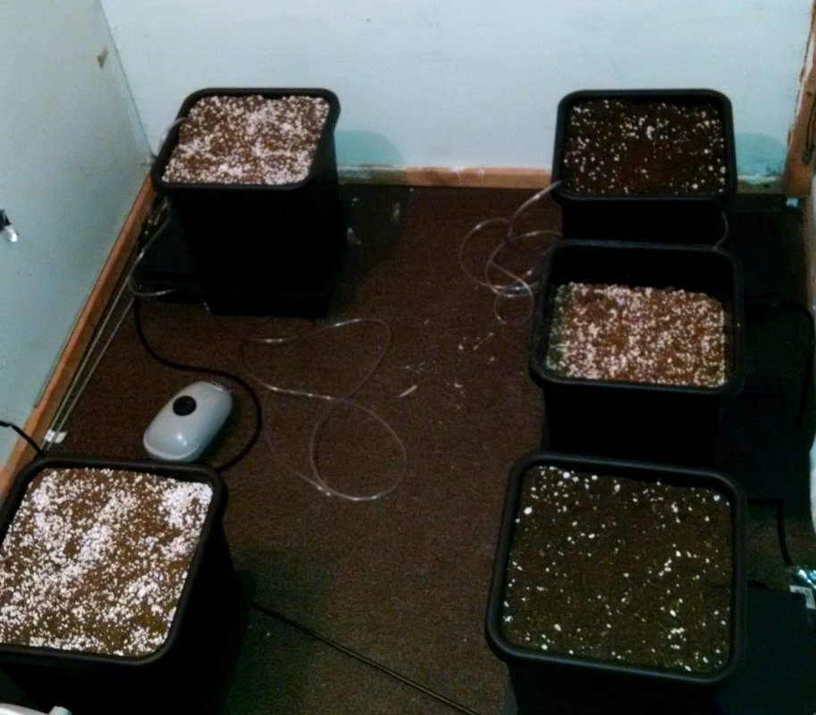 growroom pic1 -6-28-2016.jpg