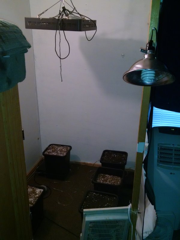 growroom pic2 -6-28-2016.jpg