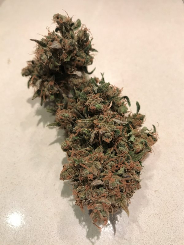 GSC (2).JPG