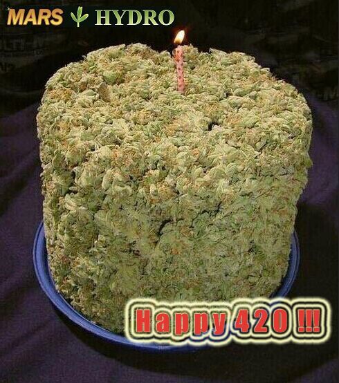 happy 420.jpg