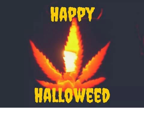 happy-halloweed-5771869.png