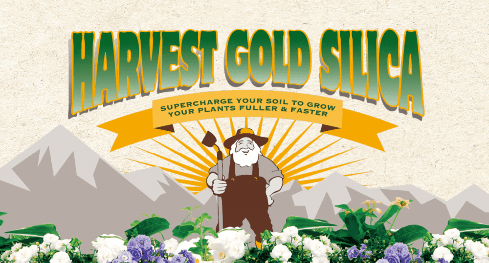 harvestgold.png