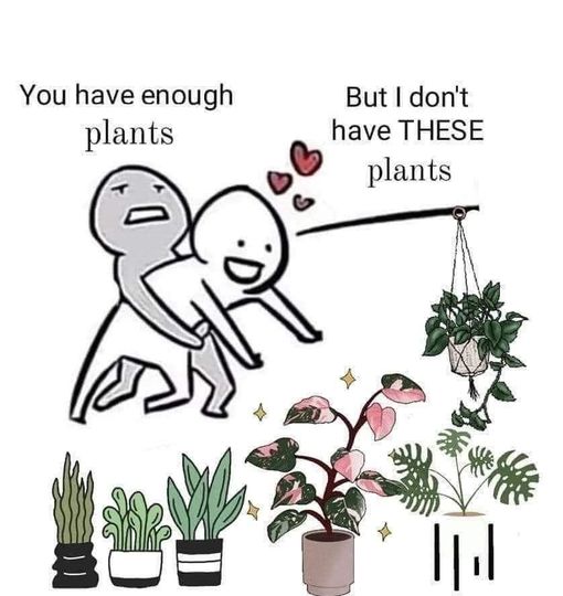 have enough plants.jpg