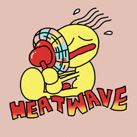 heat wave.gif