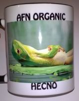 HECNO MUG.jpg