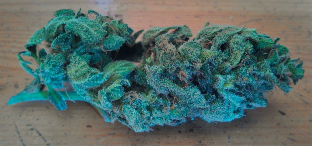 Heisenberg Special Sample Bud_1.jpg