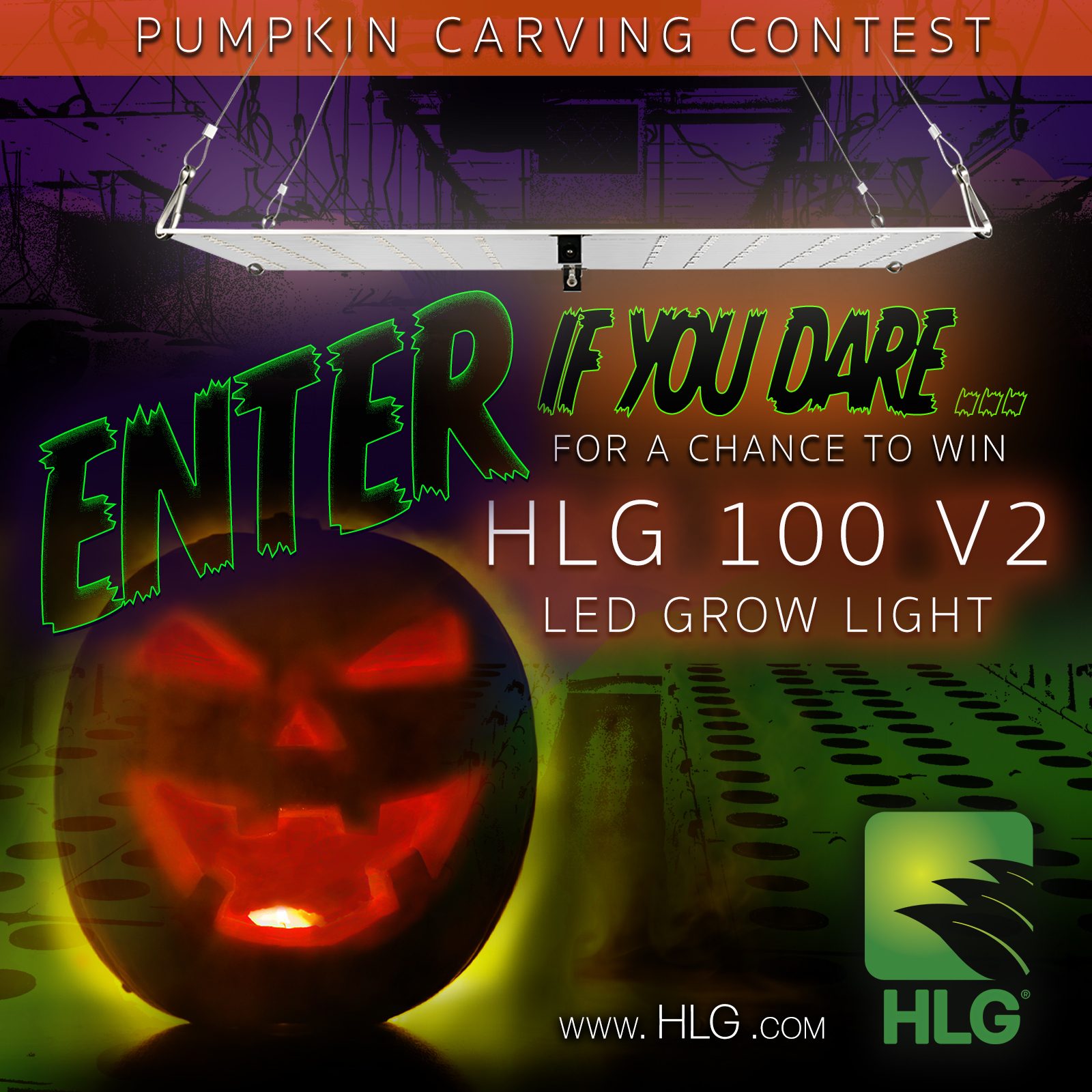 HLG_pumpkin carving.jpg
