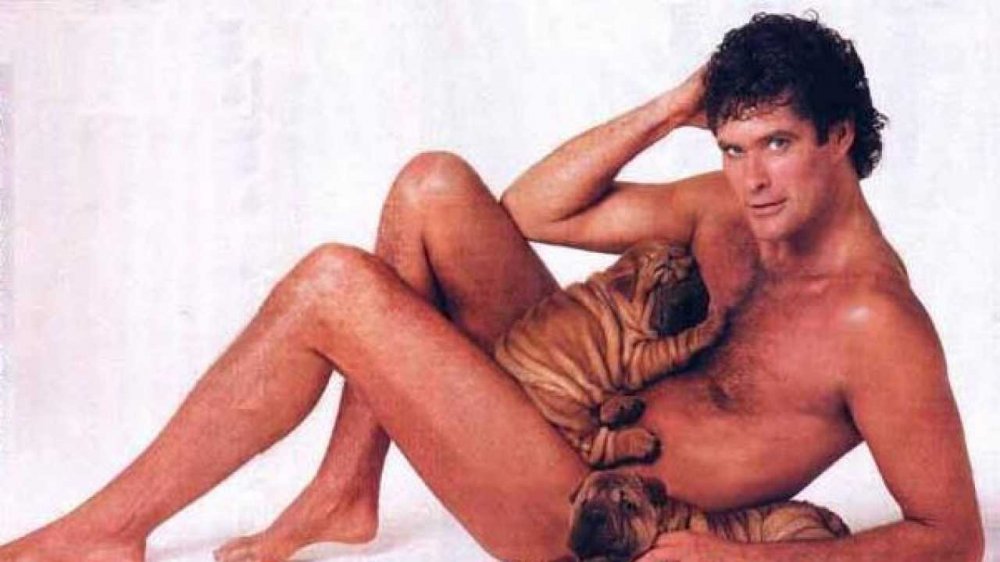 hoff.jpg