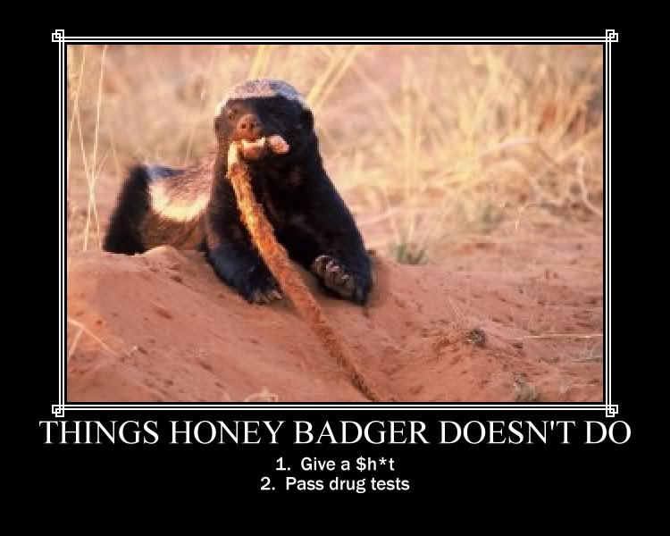 HoneyBadger.jpg