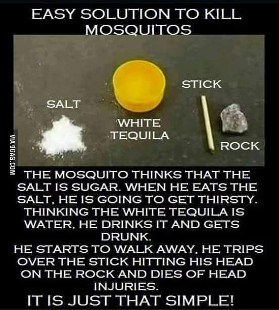 How-to-kill-mosquitos.jpg