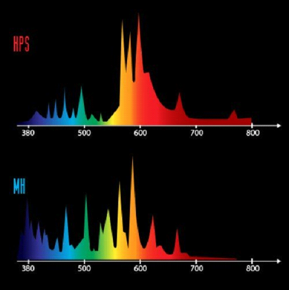 HPS_MH_Spectrum.png