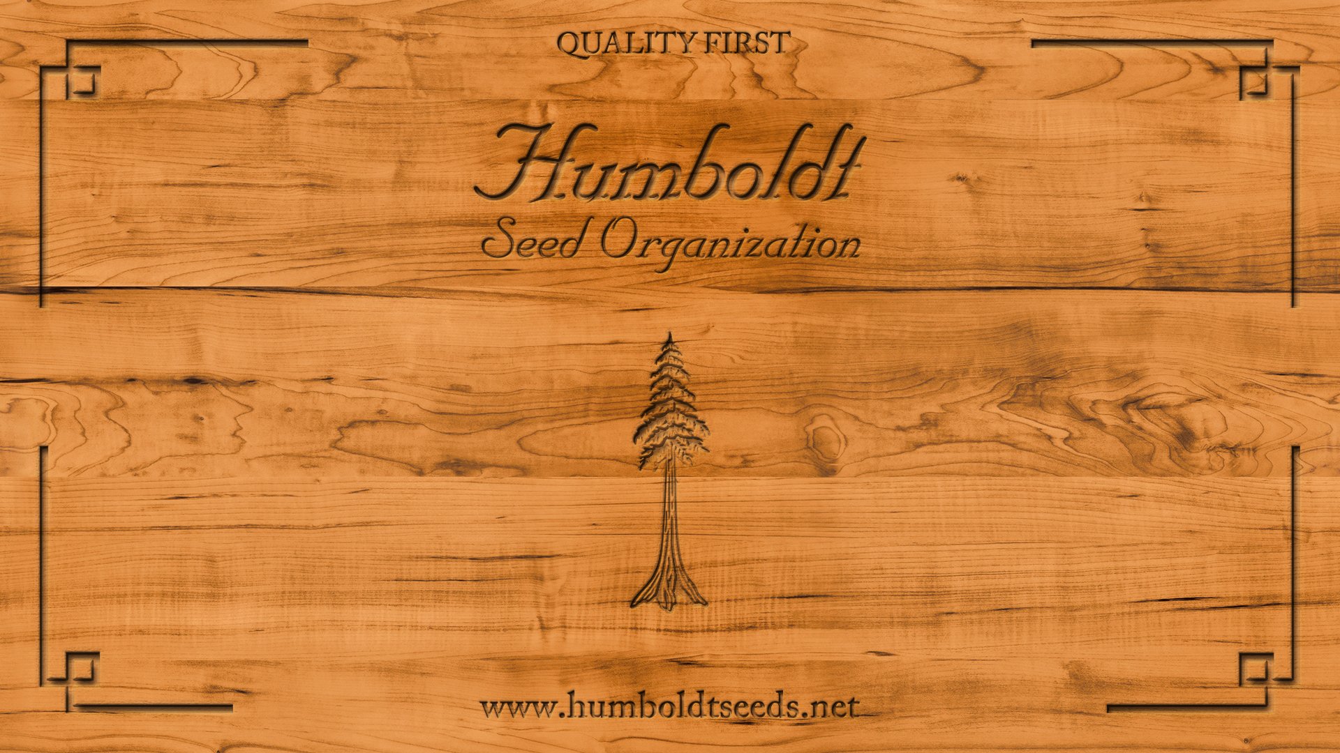 humboldt seeds wallpaper.jpg