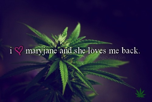 i-love-mary-jane-weed-memes.jpg