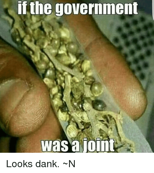 if-the-government-was-a-joint-looks-dank-_n-29298760.png