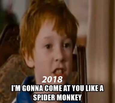 im-gonna-come-at-you-like-a-spider-monkey.jpg