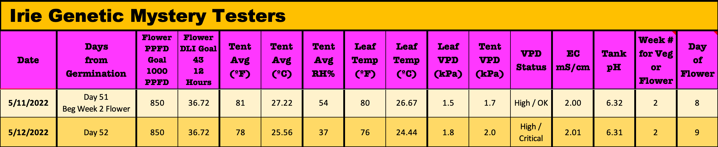 Irie D52 051222 - Stats.png