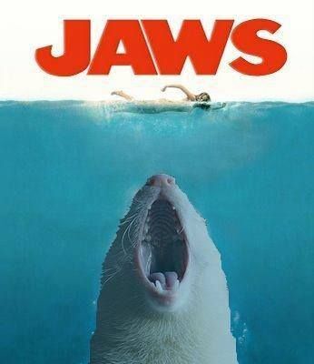 JAWs.jpg