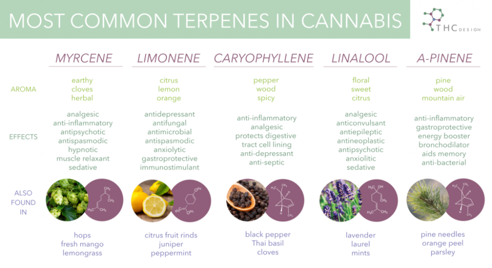 KCM_THC_Terpenes_v2-1-1024x558.png