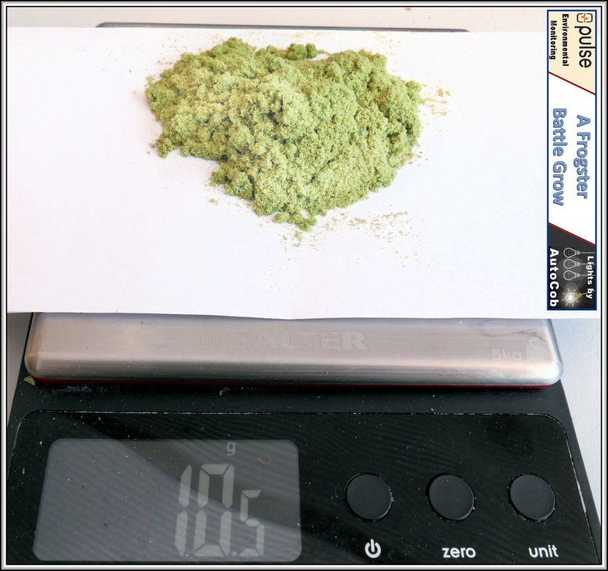 kief-candy-dawg-jpg.1049549