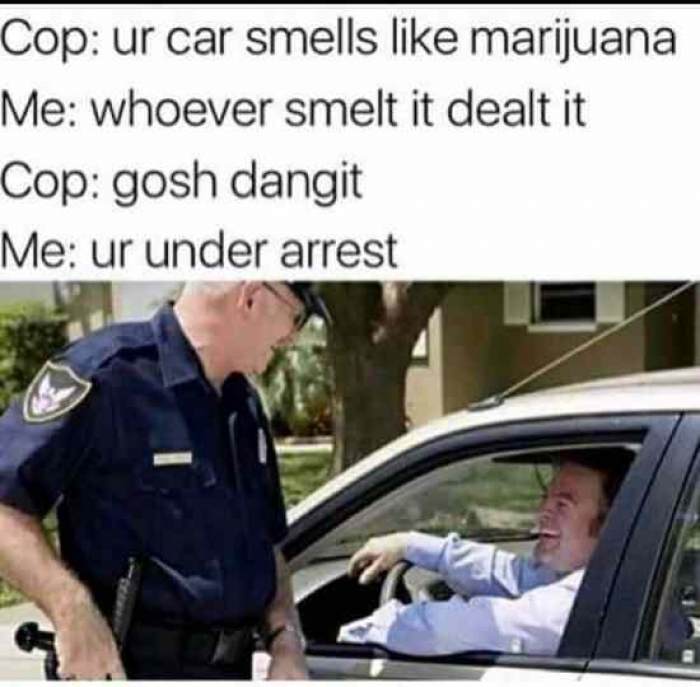 l-10048-your-car-smells-like-marijuana.jpg