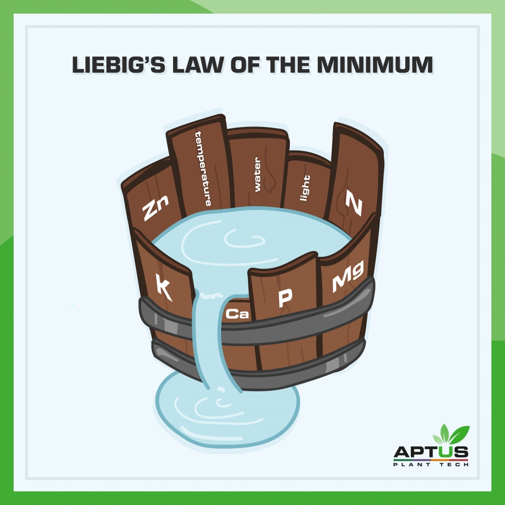 liebigsbarrel-1030x1030.jpg