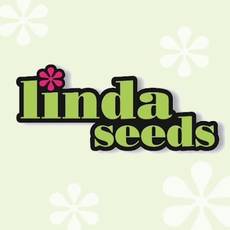 linda-seeds-hanfsamen-cannabis-seed.jpg