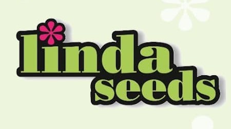 linda-seeds-hanfsamen-cannabis-seed.jpg
