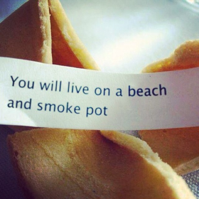 live-on-a-beach-and-smoke-pot-goodtimes.jpg