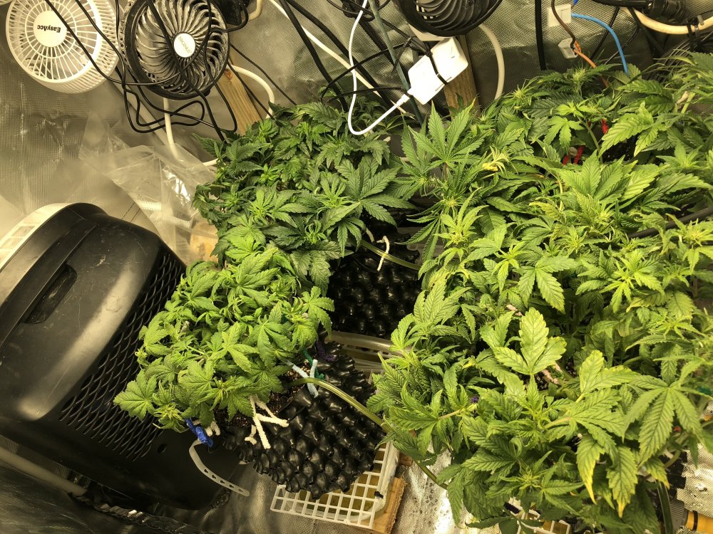 lst 5 - group shot.JPG