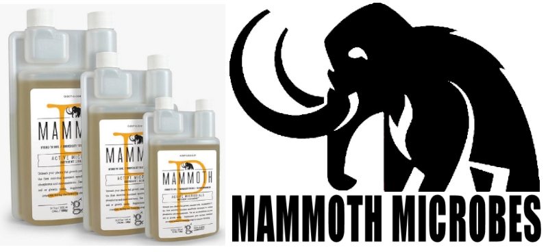 mammoth-microbes.jpg